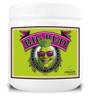Advanced Nutrients Big Bud Powder
